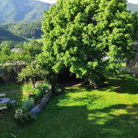 Gite La Taniere Des Alpes Bayons Exterior foto