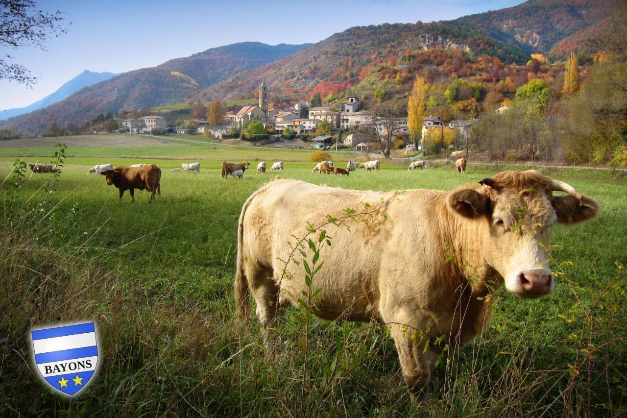 Gite La Taniere Des Alpes Bayons Exterior foto